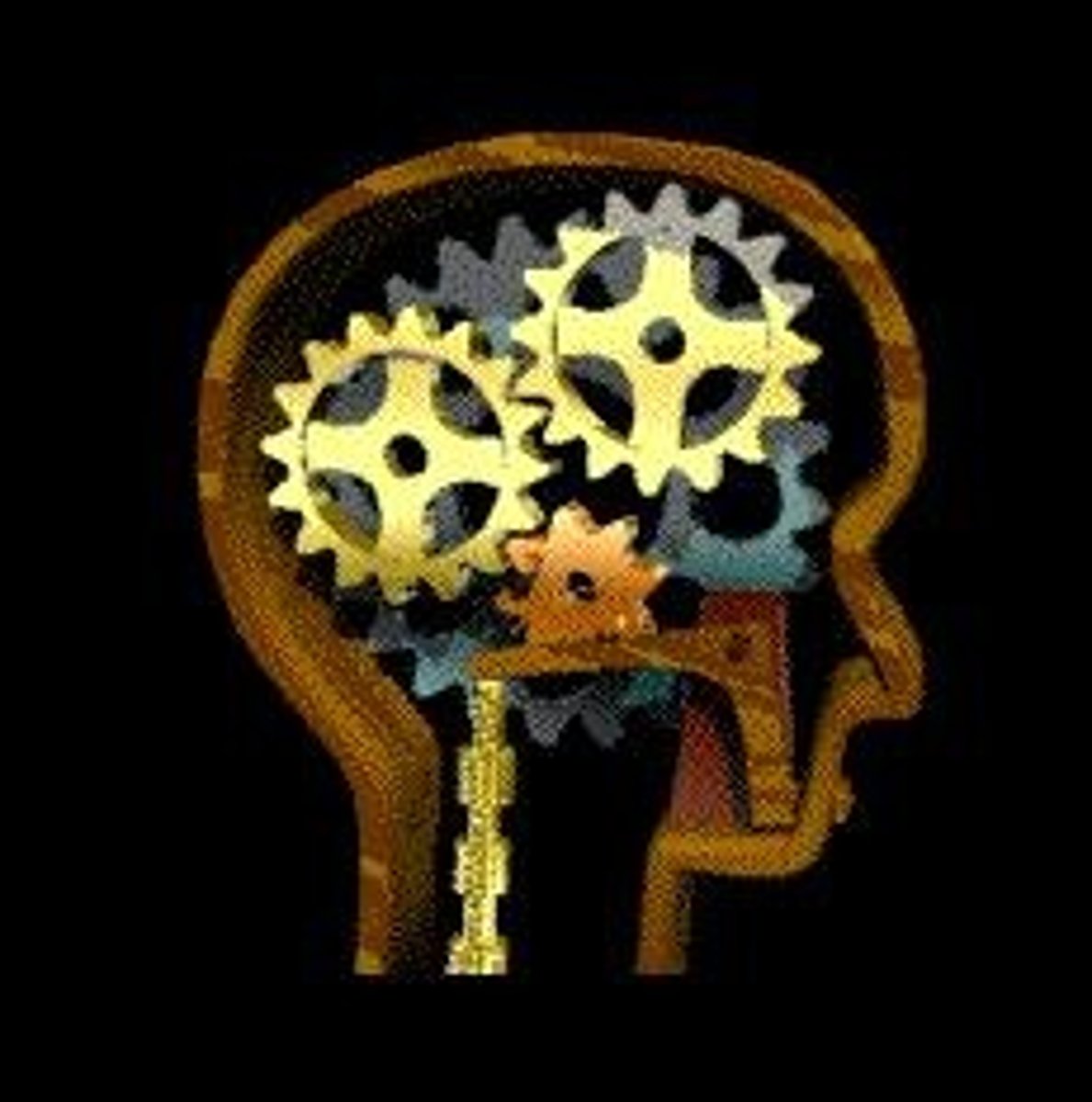 <p>Study of mental processes in human-system interaction.</p>