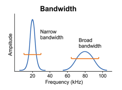 <p>difference between the two?</p>
