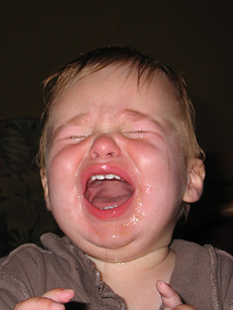 <p>v.哀号,痛哭</p>