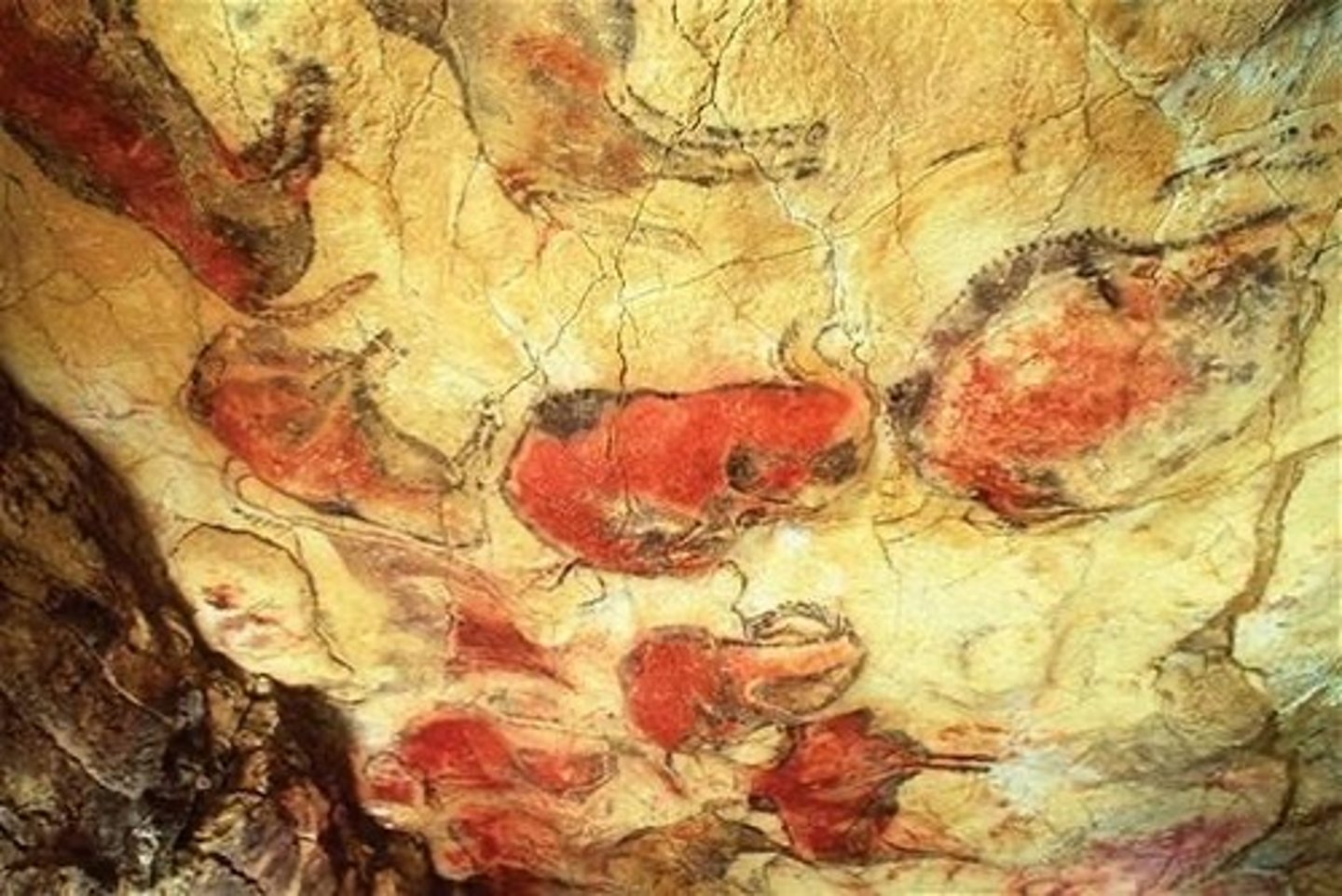 <p>Spanelsko,</p>