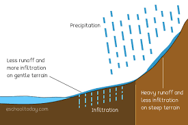 <p>water from precipitate and snow melt that doesn’t melt into the ground</p>