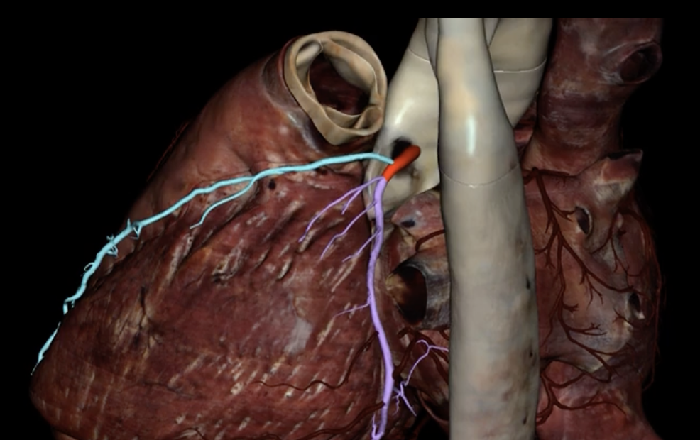 <p>What is highlighted in red?</p>