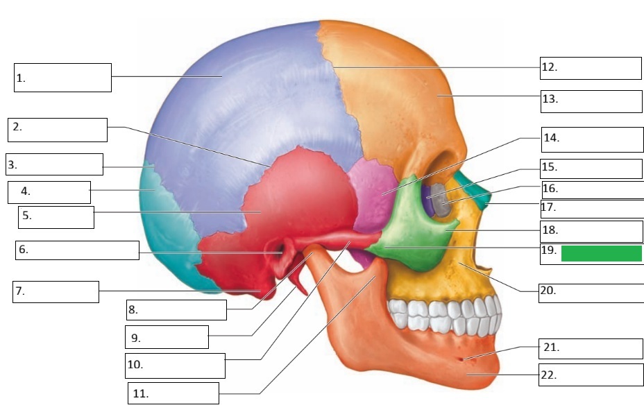 <p>19</p>