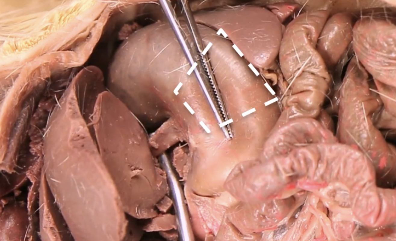 <p>What is this?</p>