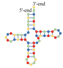 <p>which RNA structure is this<s>?</s></p>