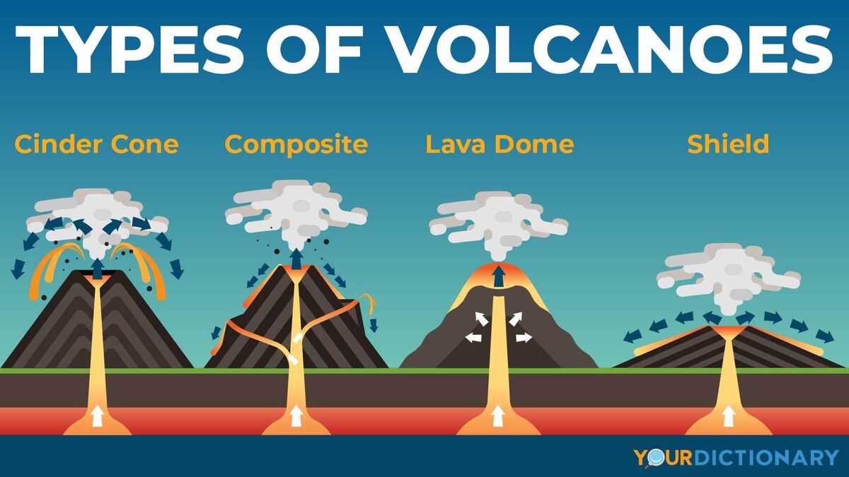 <ol><li><p>Cinder Cone</p><ol><li><p>When runny, low silica magma contains a lot of disolved gas, it could form a cinder cone </p></li><li><p>Gassy eruptions - sputter like soda spraying from a shaken can </p></li><li><p>They give loose volcanic fragments called cinders which settle and stack in a conical shape </p></li><li><p>Eg. Paricutin - Mexico </p></li></ol></li><li><p>Composite/strato</p><ol><li><p>Gas pressure in viscous, high silica magma can trigger explosive eruptions of loose magma fragments.</p></li><li><p>Less explosive eruptions create short lava flows that cover the fragments </p></li><li><p>Layers of lava and fragments build into a quintessential volcanic shape </p></li><li><p>Most often found on the edges of continents where oceanic crust descends beneath the thicker continental crust </p></li><li><p>Magma rising from deep boundary = plenty of time to drop out silica poor components and pick up silica rich ones </p></li><li><p>Eg. Mount fuji - Japan + Mount St Helens - Washington</p></li></ol></li><li><p>Lava Dome/volcano</p><ol><li><p>large depression formed when a volcano erupts and collapses </p></li><li><p>During volcanic eruption - magma present underneath the volcano is gotten rid of, often forcefully </p></li><li><p>when magma chamber empties - support that magma provided disappears</p></li><li><p>Found everywhere </p></li><li><p>Eg. Yellowstone supervolcano = Hawaii </p></li></ol></li><li><p>Shield</p><ol><li><p>Low silica magma - flow readily and puddle on land </p></li><li><p>Over time - eruptions form layers of lava like paint - creating a broad flat shield volcano </p></li><li><p>Often found in oceans </p></li><li><p>Since oceanic crust is thinner than continental, magma does not have to traval as far to reach surface - less time to change its composition and become silica rich </p></li><li><p>Lava in shield volcanos most resembles magma in earth </p></li><li><p>Eg. Muana Kea + Mauna Loa = Hawaii</p></li></ol></li></ol>