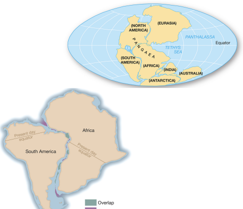 <p><strong>evidence: matching coastlines</strong></p>