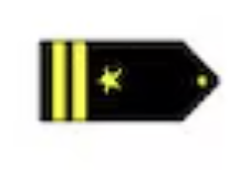 <p>Two gold 1/2-inch stripes outboard a gold five pointed star (O3)</p>