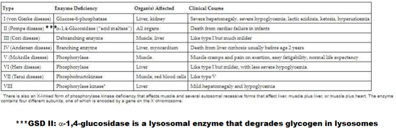 <ul><li><p>Know the names, the enzymes that are effected</p></li></ul><p></p>