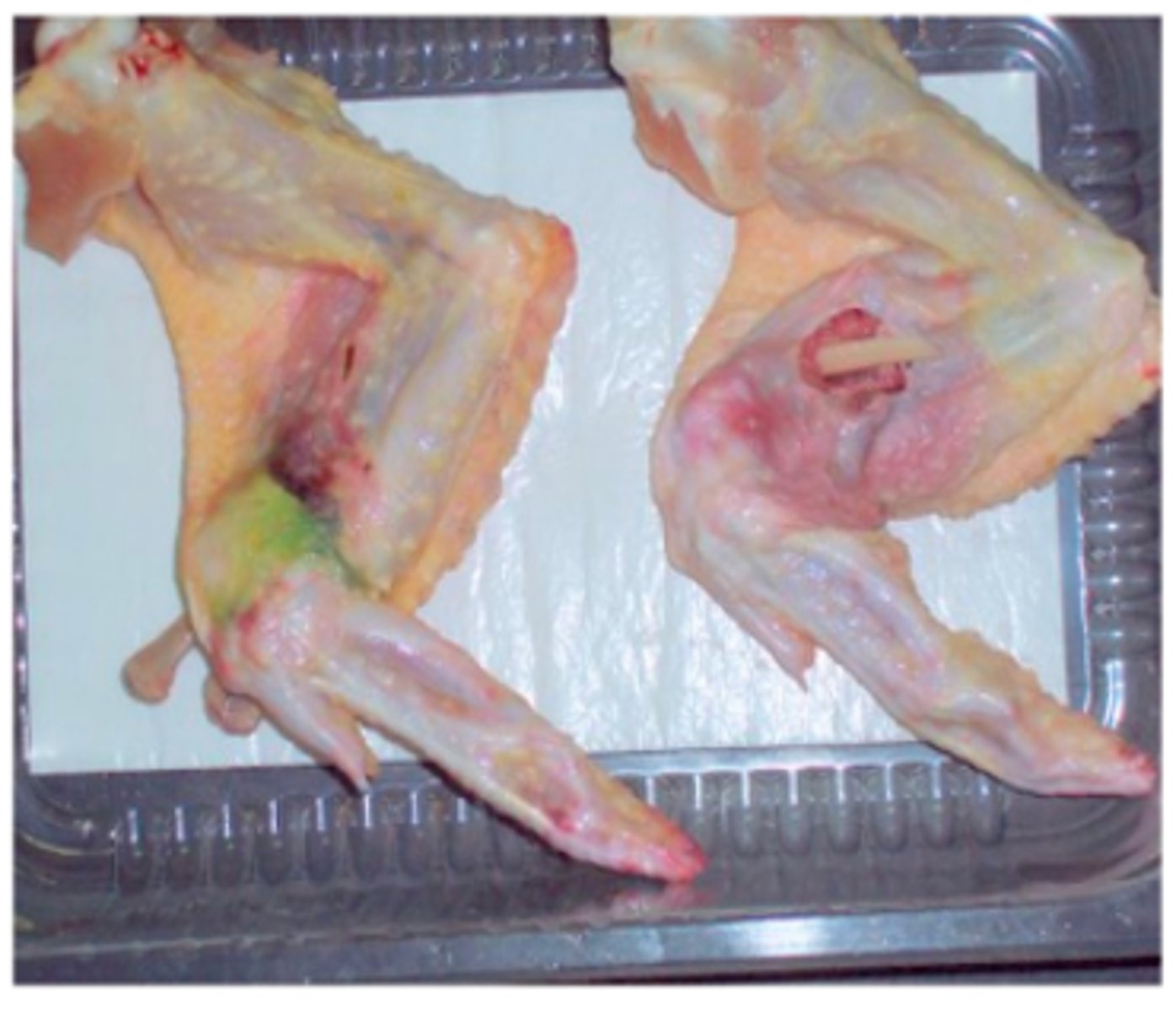 knowt flashcard image