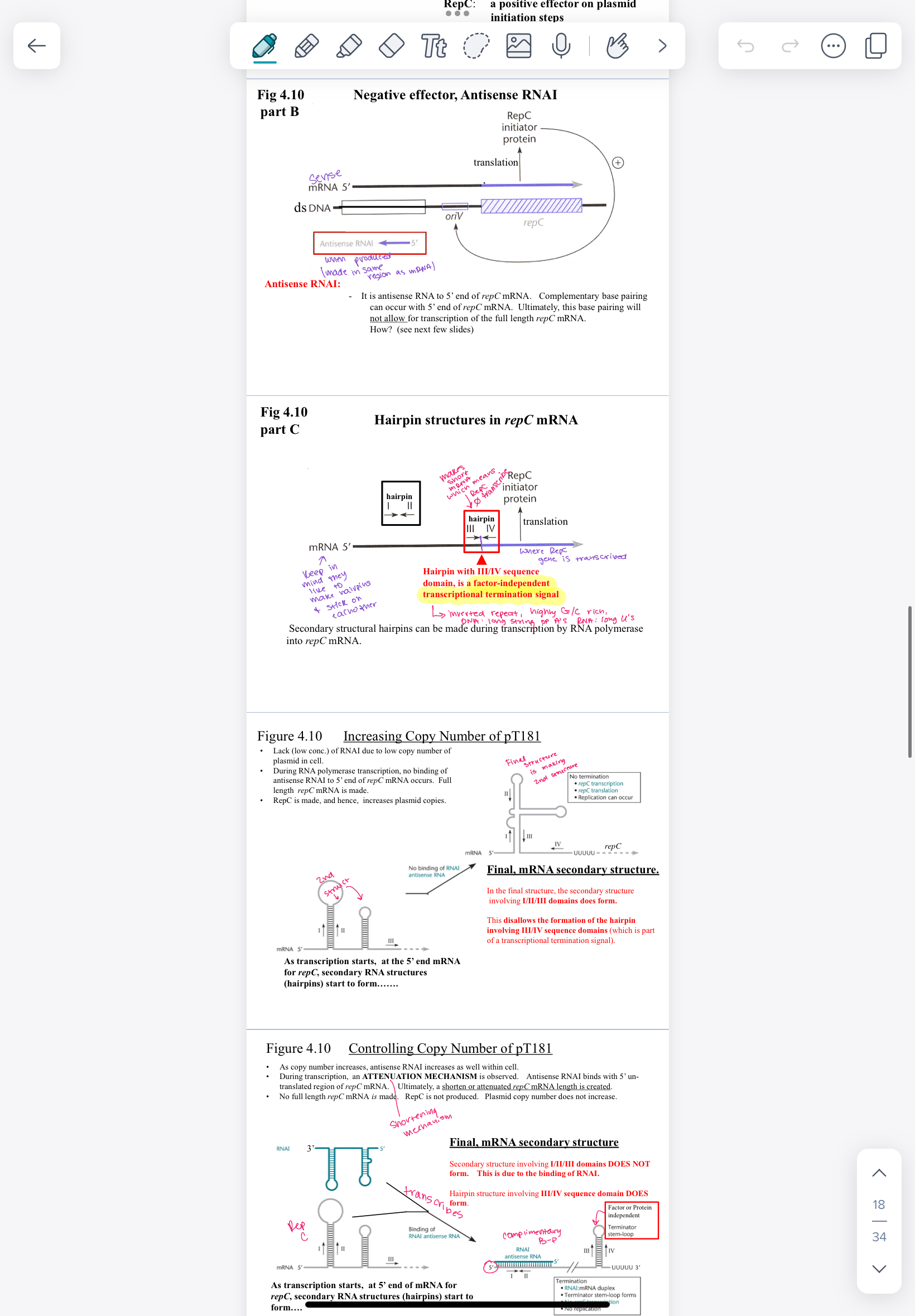Microbial Unit 2 Flashcards Knowt