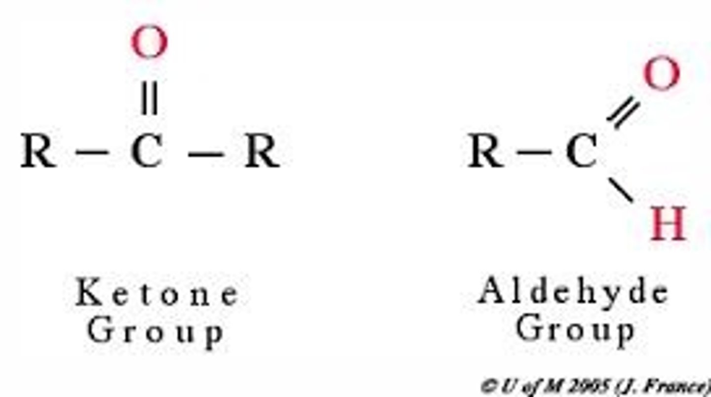<p>contain the carbonyl group C=O</p>