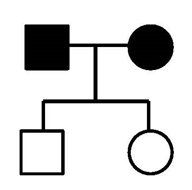 Is the inheritance pattern indicated by the shaded symbols in this pedigree consistent with the inheritance pattern of an X-linked recessive characteristic?