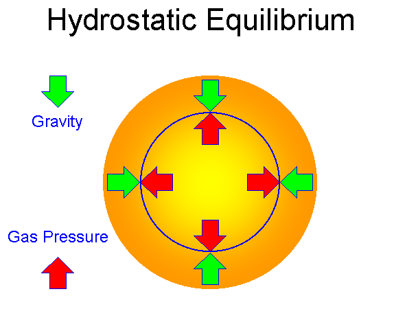 <p>The balance between inward and outward forces within a star; compressing force of gravity balanced by radiation and gas pressure which push outwards from the core</p>