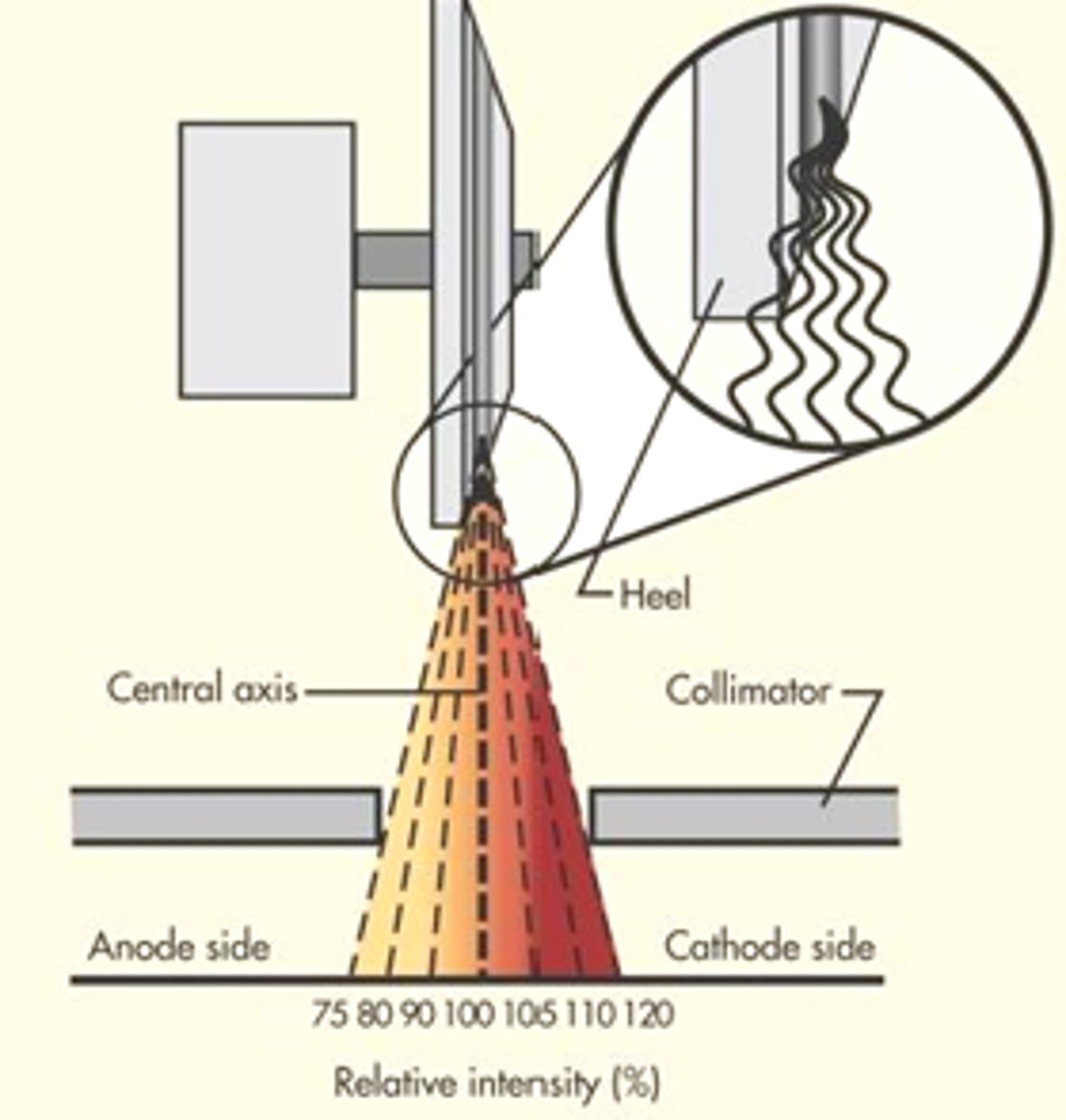 <p>Cathode</p>