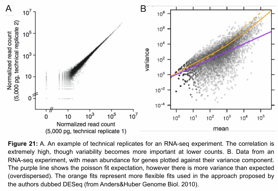 <p>Negative binomial distribution.</p><p>Poisson distribution can also be used, but it has been observed that RNA-seq data often shows overdispersion compared to Poisson (more variance). It works for technical replicates, but otherwise imperfect fit.</p><p>Negative binomial distribution is better because it can model both mean and variance independently. Poisson has only one parameter to estimate mean and variance → lambda. Negative binomial has an additional parameter.</p><p></p>