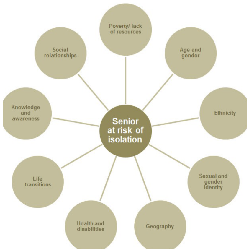 <p>Risk factors related to health inequality and health inequity both influence older adults' risk for social isolation</p>