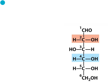 <p>This sugar is _</p>