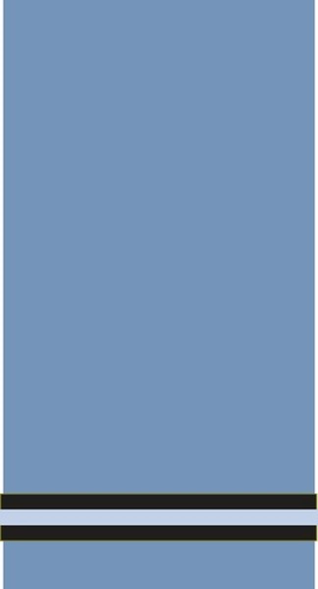 <p>Flying officer</p>