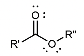 <p>A carbonyl group with a second oxygen atom single bonded to the carbonyl carbon; found in the middle of the molecule, bonded to 2 different R groups </p>