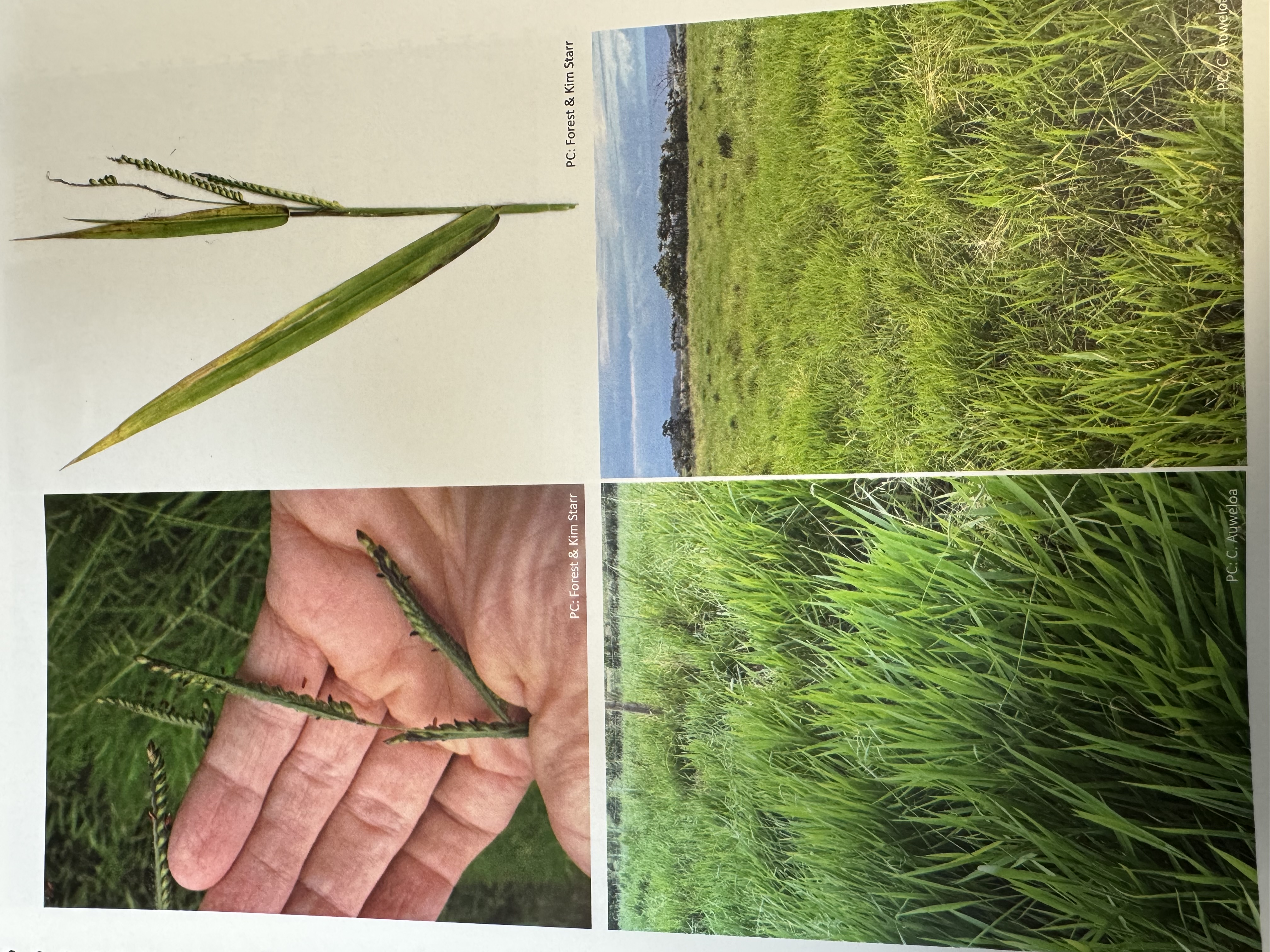 <img src="blob:null/2875ef92-b067-4125-8fc1-2cb04aded9b0"><p></p>