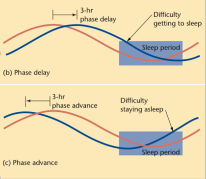 <p><span>More common than parasomnias</span></p><ul><li><p><span>Onset: difficulty getting asleep - Phase delay (body temp had trouble going down)</span></p></li><li><p><span>Maintence: staying asleep - phase advance (body temp says its time to wake up) </span></p></li></ul><p>Can be caised my a cercadian shift (phase delay or phase advance </p>