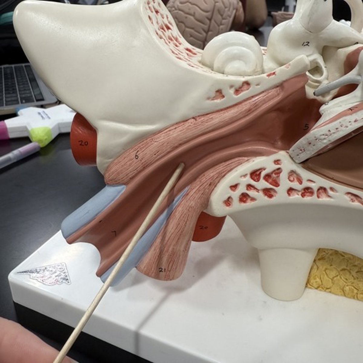 <p>What is this structure?</p>