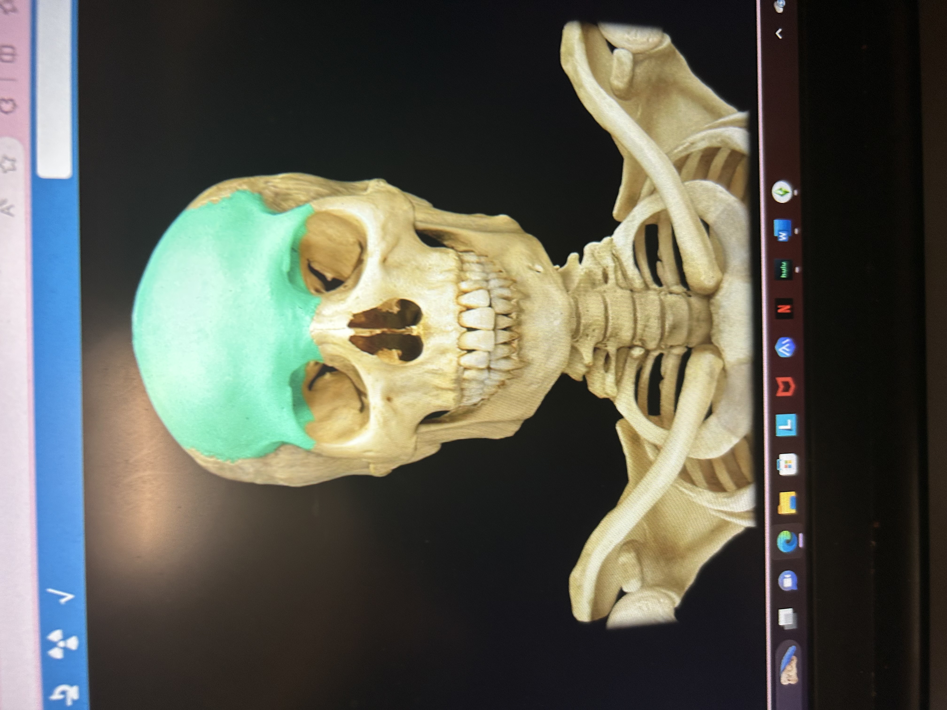 knowt flashcard image