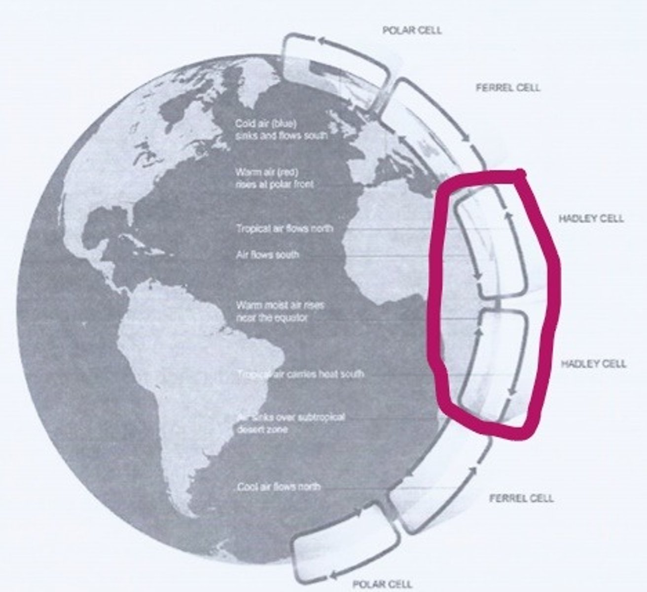 <p>the equator to between 30 and 40 degrees north and south</p>