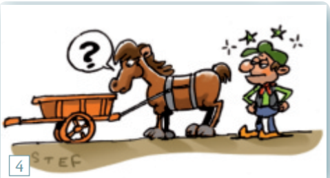 <p>wat betekent: het paard achter de wagen spannen</p>