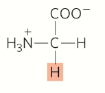 <p>Nonpolar, aliphatic</p>