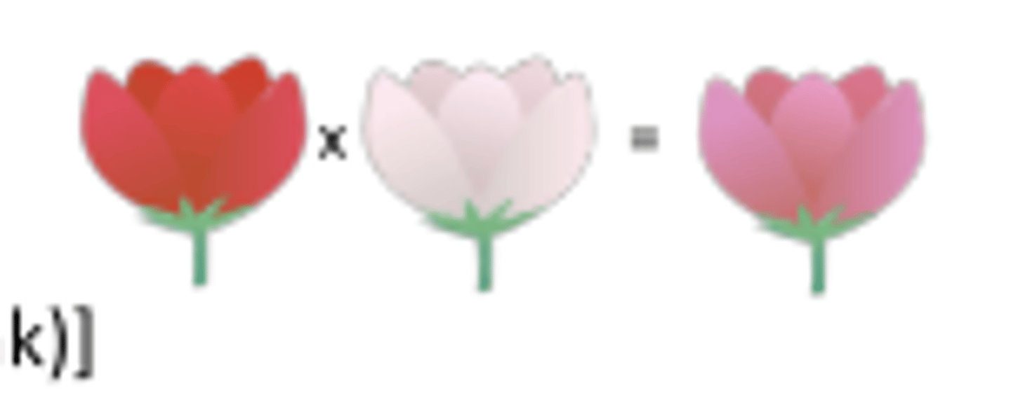 <p>A genetic situation where the heterozygous phenotype is a blend of the two homozygous phenotypes.</p>