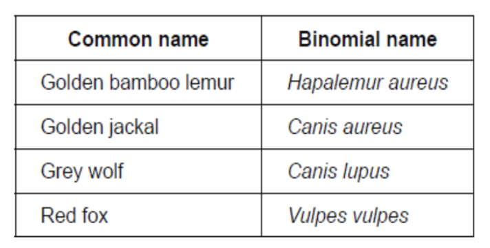 <p><span style="background-color: transparent;"> The table gives common names and binomial names for some mammals.</span></p><p></p><p><span style="background-color: transparent;">Identify the <strong>two</strong> species most closely related.</span></p>