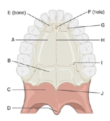 <p>label a, b, c, d, e in order</p>