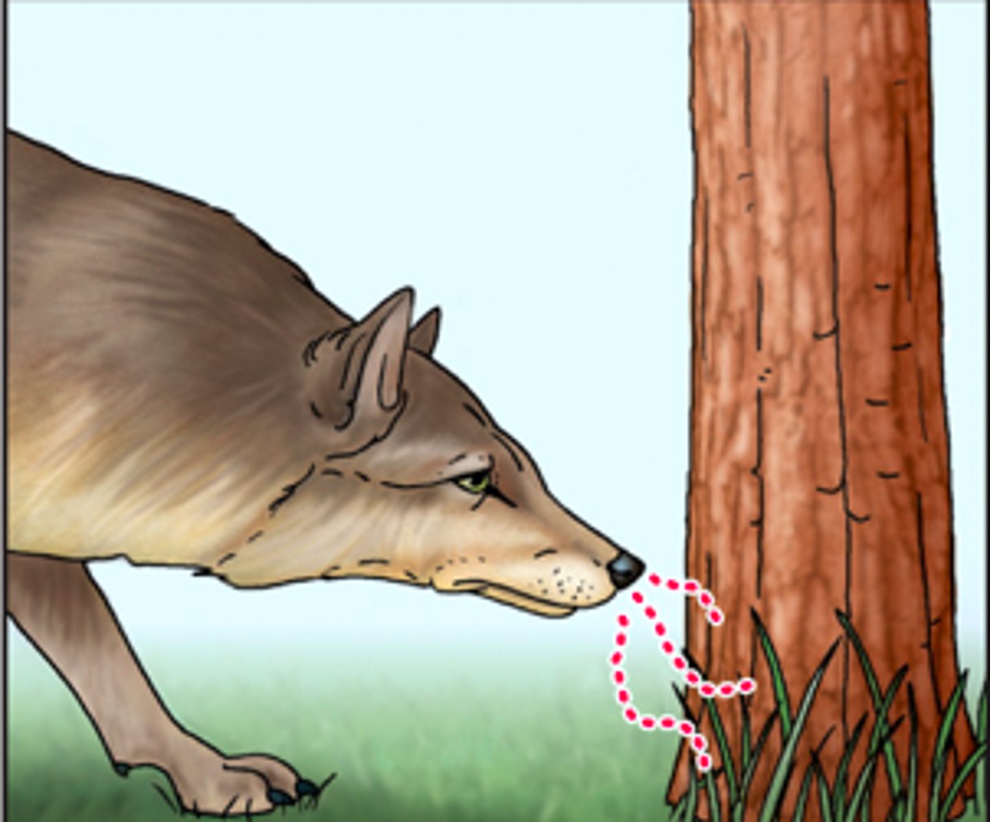 <p>1. smell</p><p>2. ingestion</p>