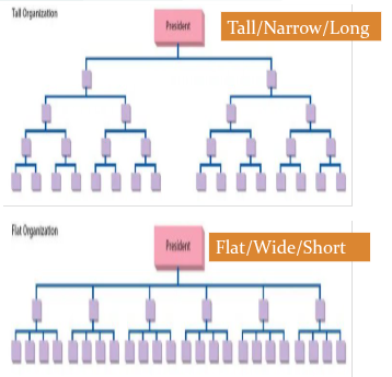 <p class="Paragraph WhiteSpaceCollapse SCXP192915015 BCX0" style="text-align: justify"><strong>1. Hierarchy </strong>refers to how the organisation is structured. What different levels of management are there. It can be tall or flat. ​</p><p class="Paragraph WhiteSpaceCollapse SCXP192915015 BCX0" style="text-align: justify"><strong>2. Span of control </strong>means the number of employees directly reporting to a manager. It can be wide or narrow.​</p><p class="Paragraph WhiteSpaceCollapse SCXP192915015 BCX0" style="text-align: justify"><strong>3. Chain of command </strong>refers to the number of different levels in the structure. It can be long or short.</p><p></p>