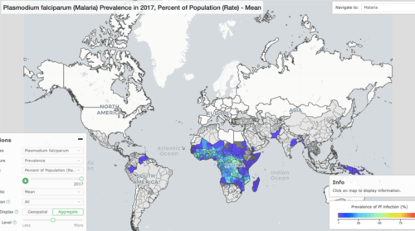 <p>WHO African Region carries a disproportionally high share of the global malaria burden<br><br>=&gt; region was home to 94% of malaria cases (233 million) and 95% (580,000) malaria deaths<br><br>=&gt; children under 5 accounted for about 80% of all malaria deaths in the region</p>
