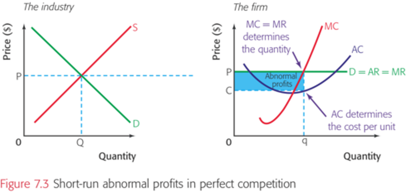 <p>Short-run only</p>