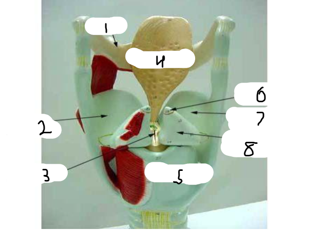 <p>5</p>