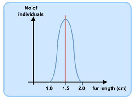 <p>mean remains the same but fewer extremes</p>