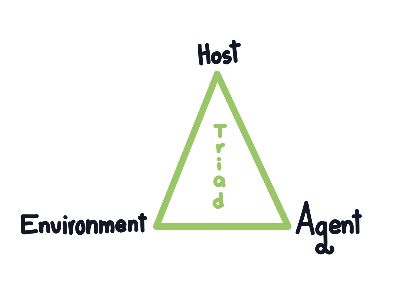 <p><strong>Epidemiological triad</strong></p>