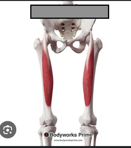 <p></p>