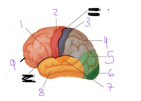 <p>What is 1</p>