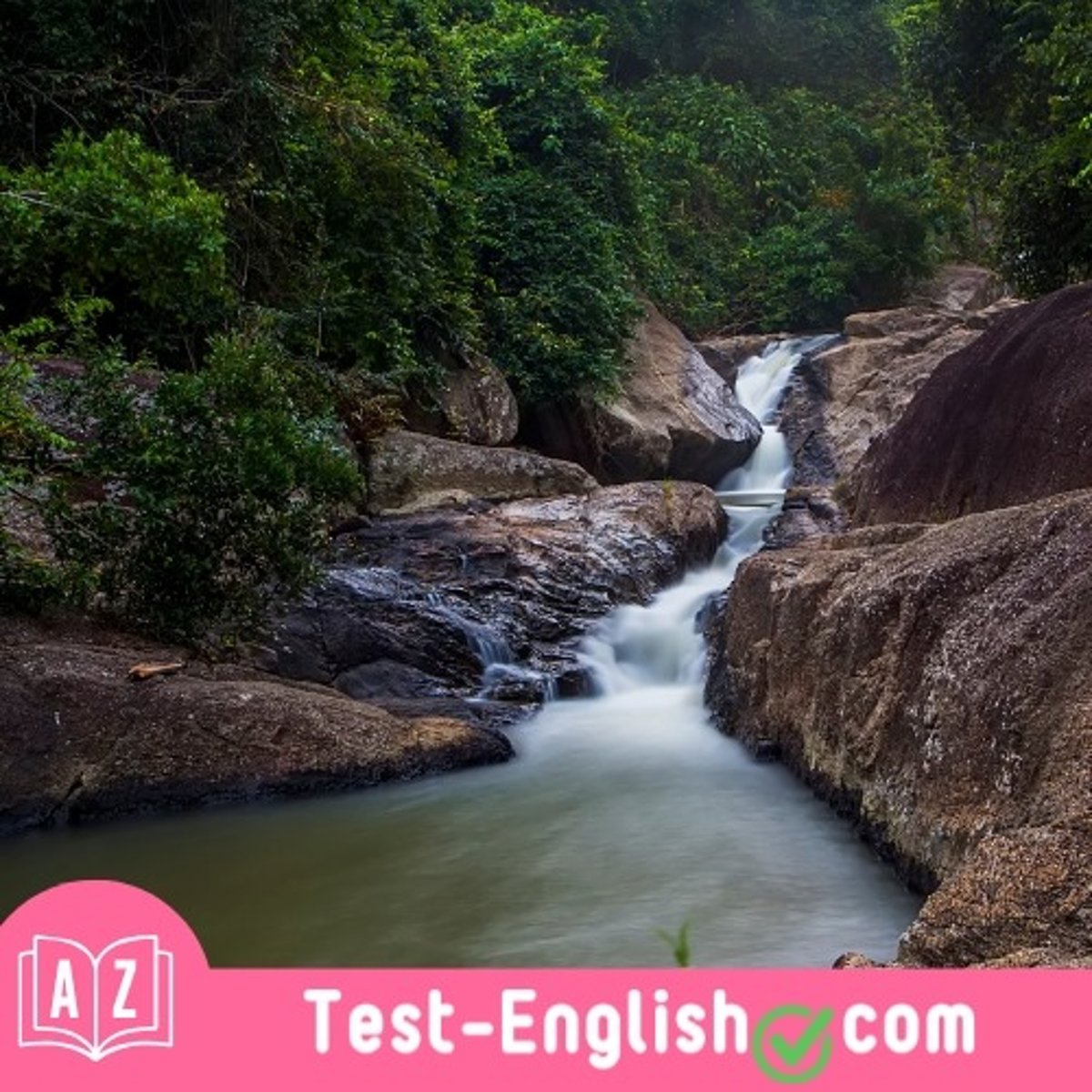 <p>The dog was drinking from a little _____ with clear water.</p>