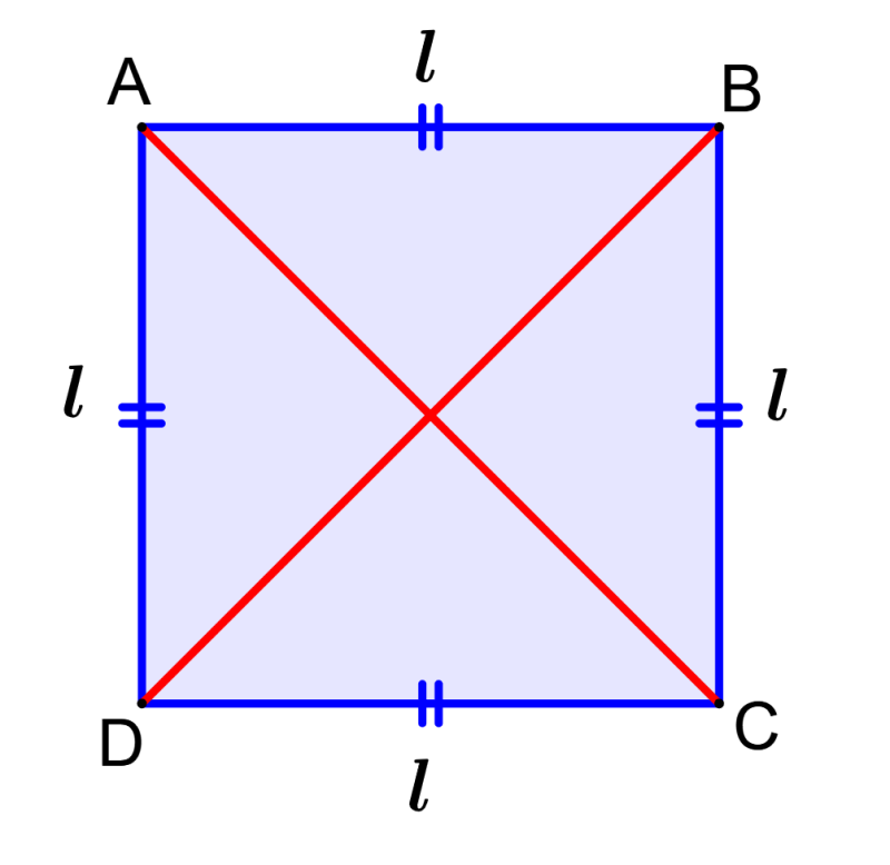 <p>Square</p>