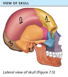 <p>#2</p>