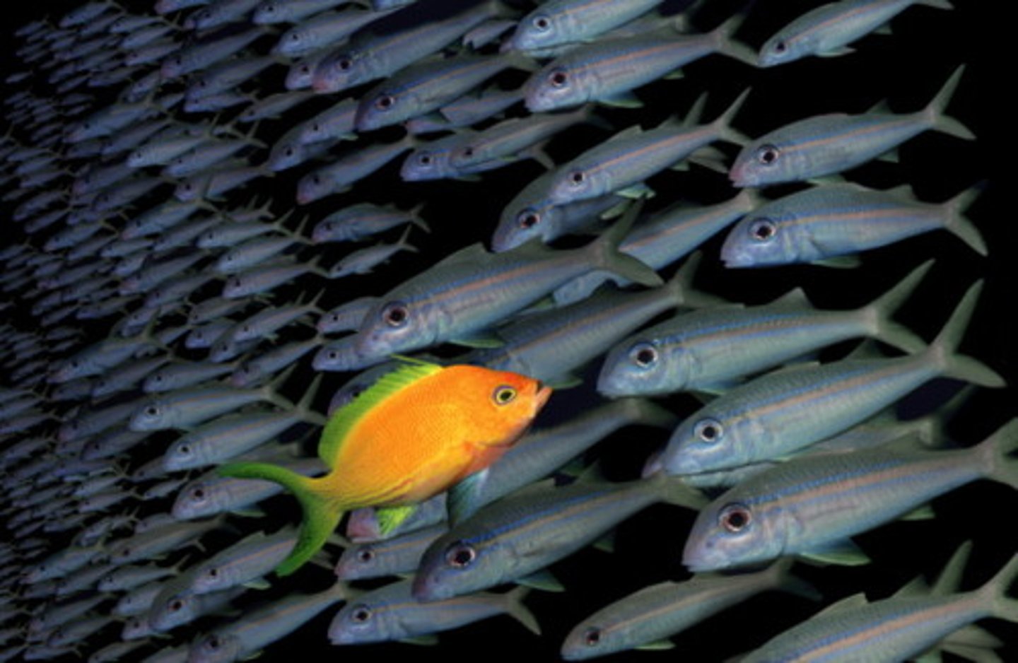 <p><strong>fǎn'ér</strong> - trái lại, ngược lại</p>