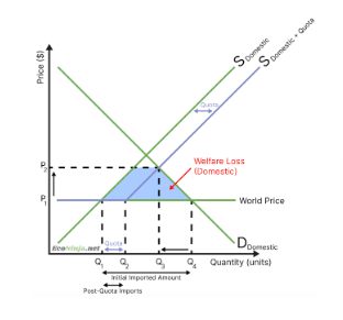 <ul><li><p>gained producer surplus is smaller than lost consumer surplus </p></li><li><p>hence, quotas make markets less efficient, as they reduce the social surplus</p></li></ul><p></p>