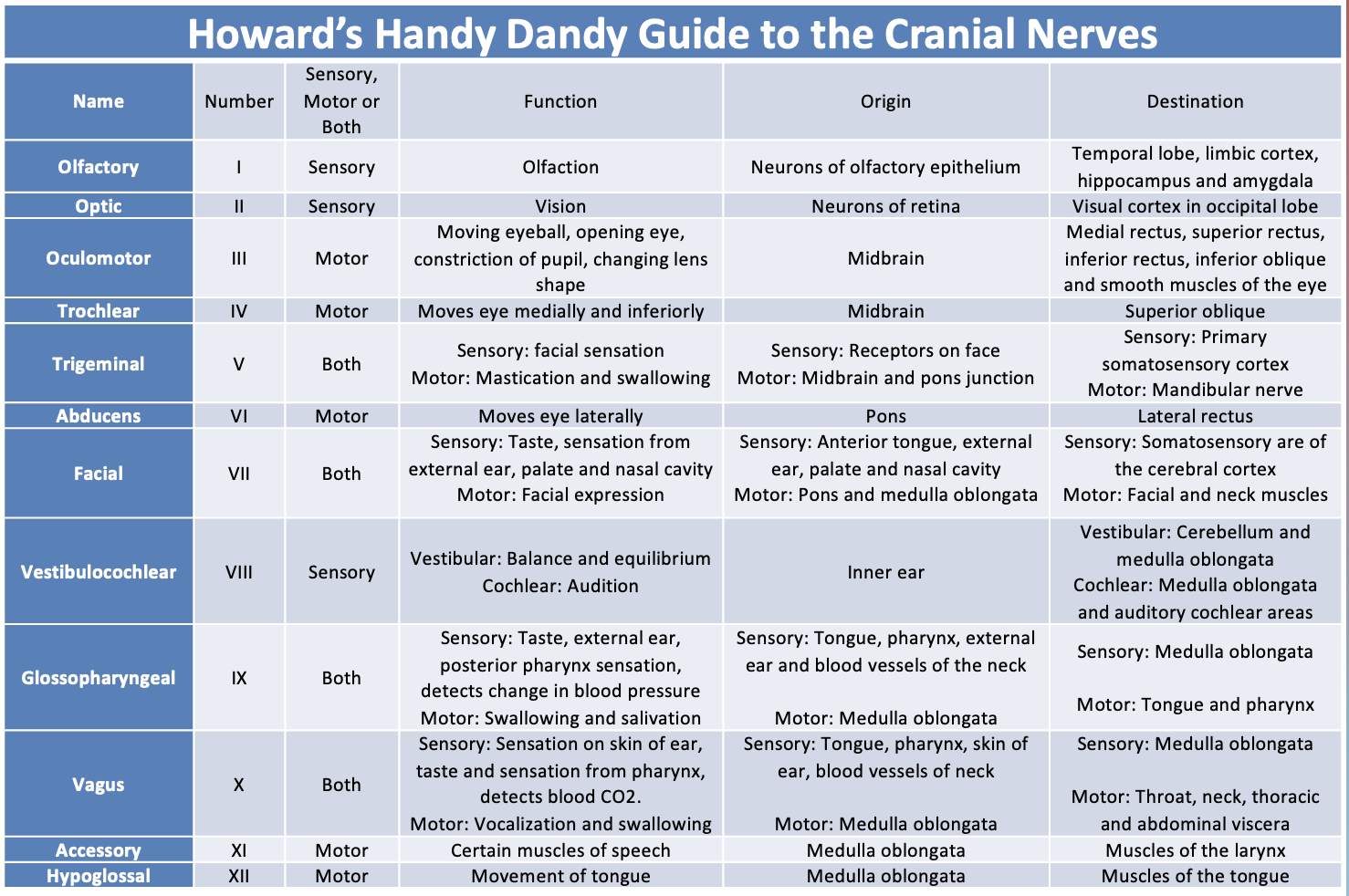 <p>B. V, Trigeminal, both sensory and motor</p>