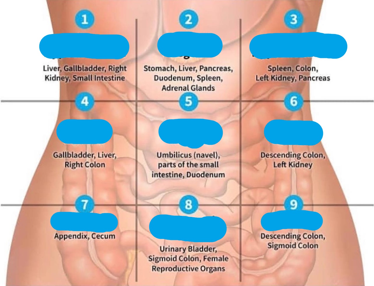 <p>identify number 7</p>